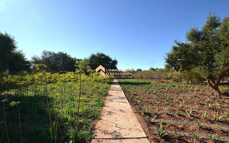 Villa Had Dra_VNA (42)